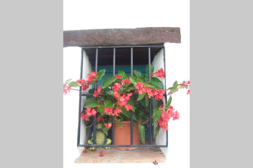 Casa Rosa, Con Encanto Y Piscina Climatizada Frigiliana Esterno foto
